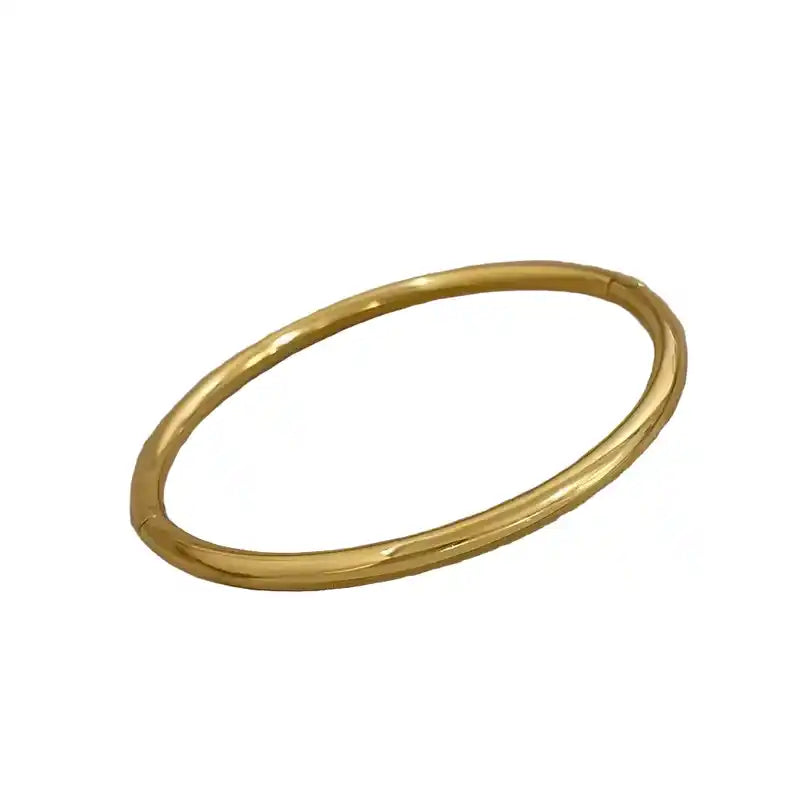 Titanium Steel Bracelet | Roman Design Punk Bangle for Men & Women Dropified