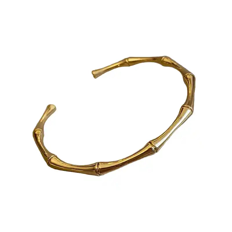 Titanium Steel Bracelet | Roman Design Punk Bangle for Men & Women Dropified